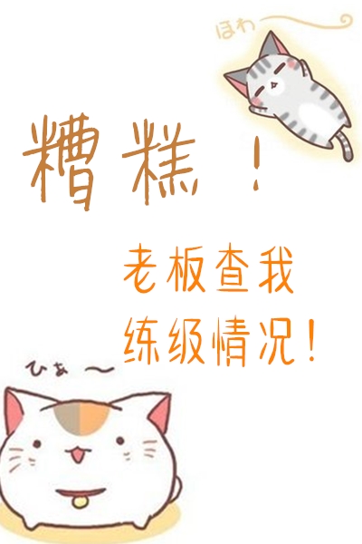 糟糕！老板查我练级情况！