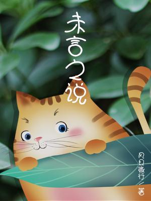 未言之说