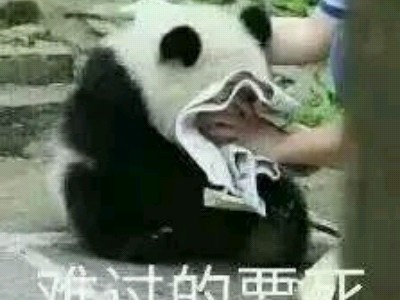 校园小故事