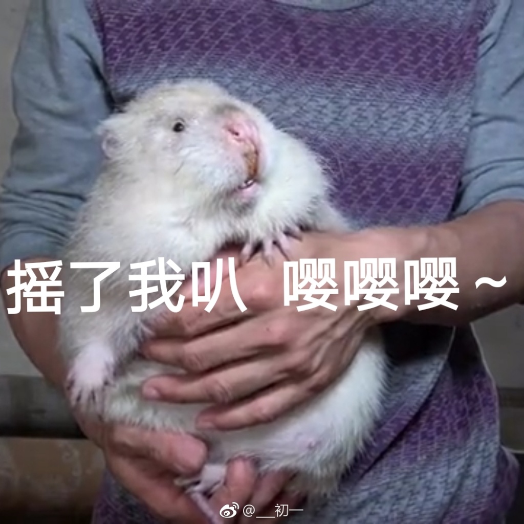 爸爸跟叔叔每天都在打架