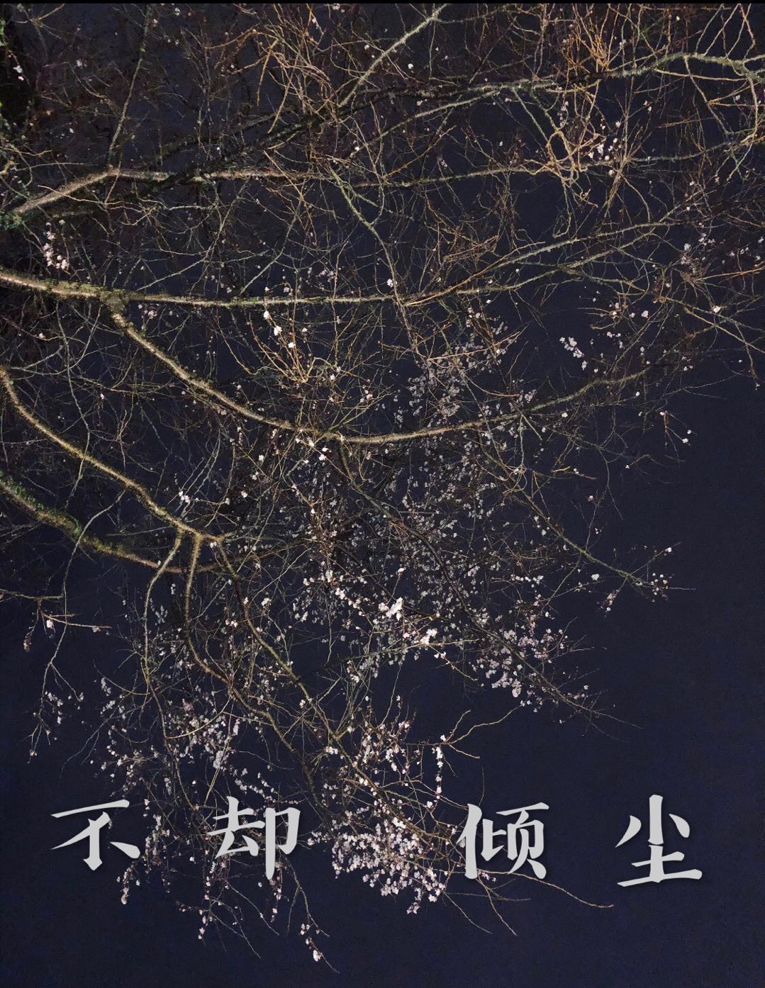 不却倾尘