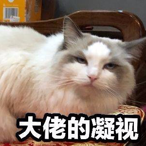 七秒后的过去式