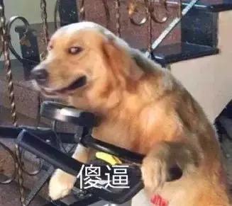 当渣攻和白月光上床的时候贱受在干什么