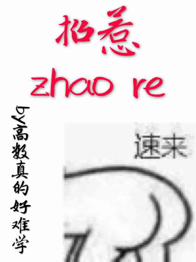 招惹