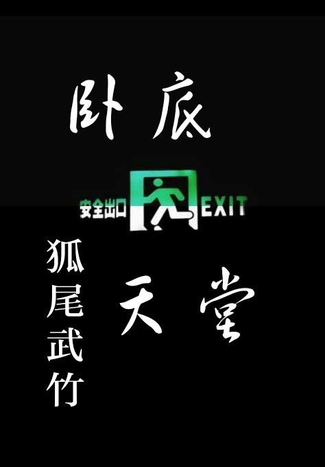 卧底天堂