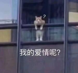 陆麓你太猛了