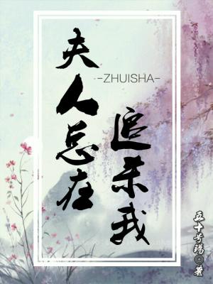 夫人总在追杀我