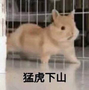 庭中池ABO