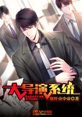 大导演系统