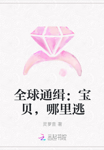 全球通缉：宝贝，哪里逃